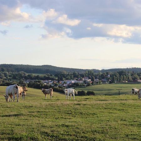 Ctyri Pokoje Tachov  Exterior foto