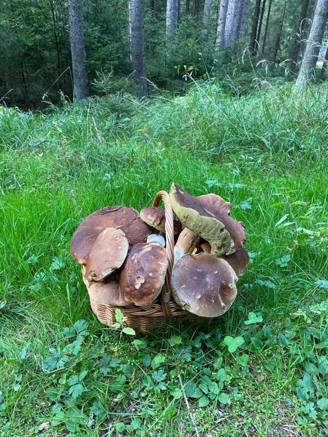 Ctyri Pokoje Tachov  Exterior foto