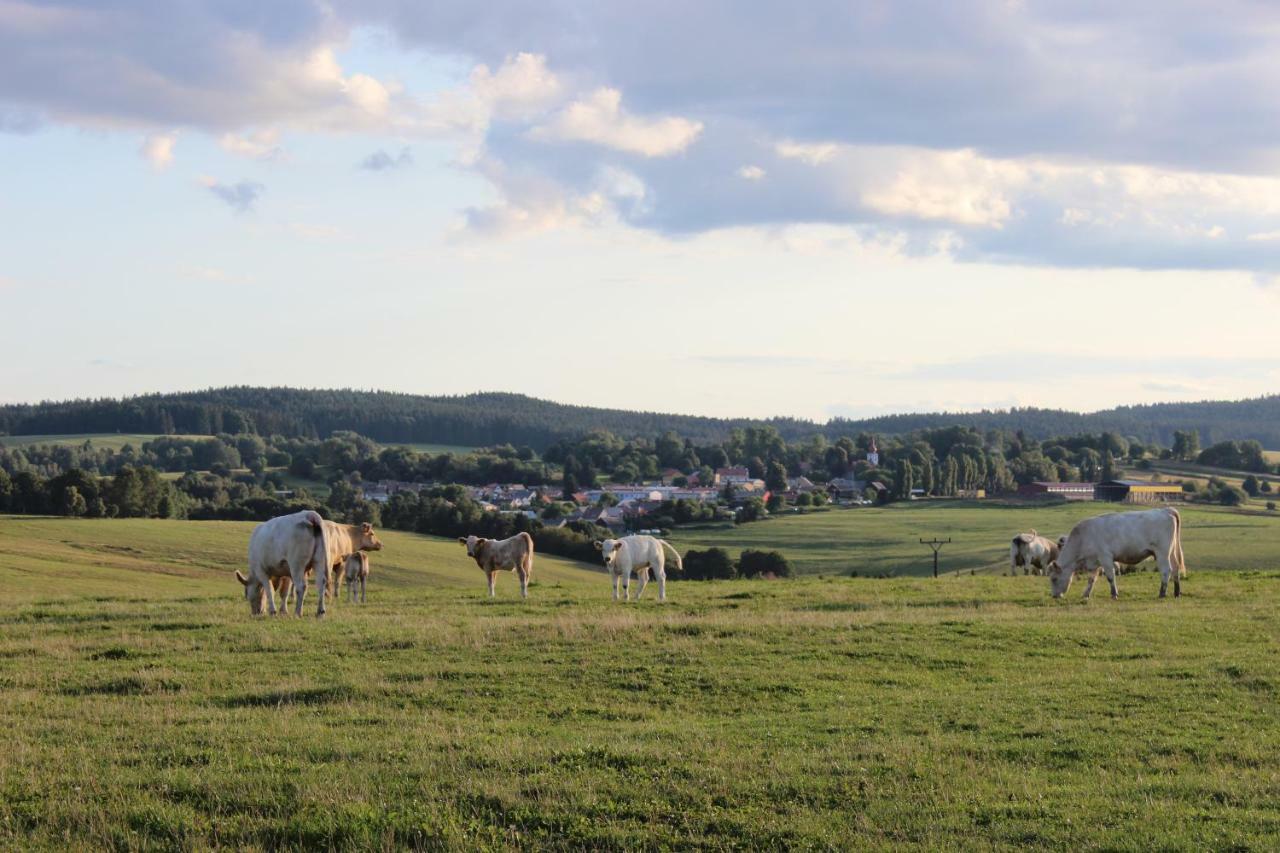 Ctyri Pokoje Tachov  Exterior foto